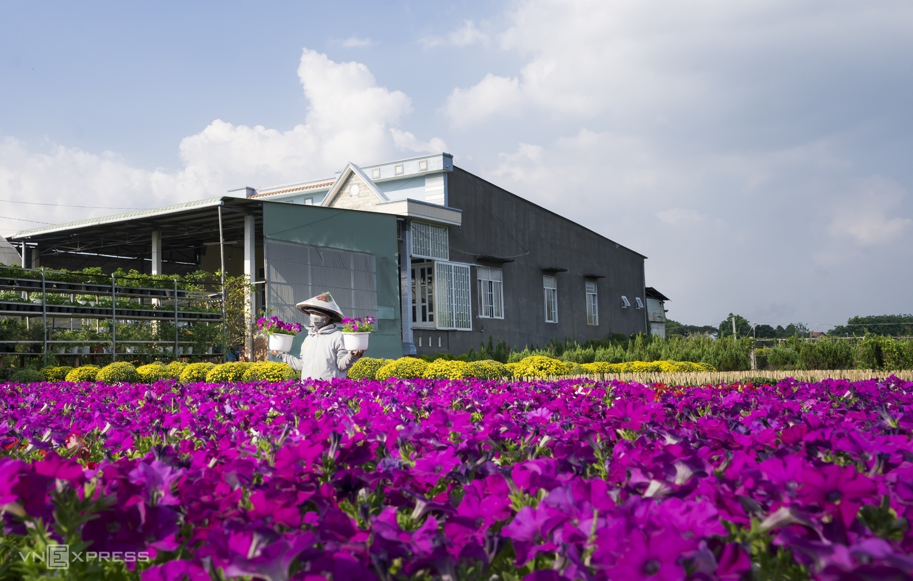 Làng hoa Tân Quy Đông nô nức sắc xuân vào dịp Tết