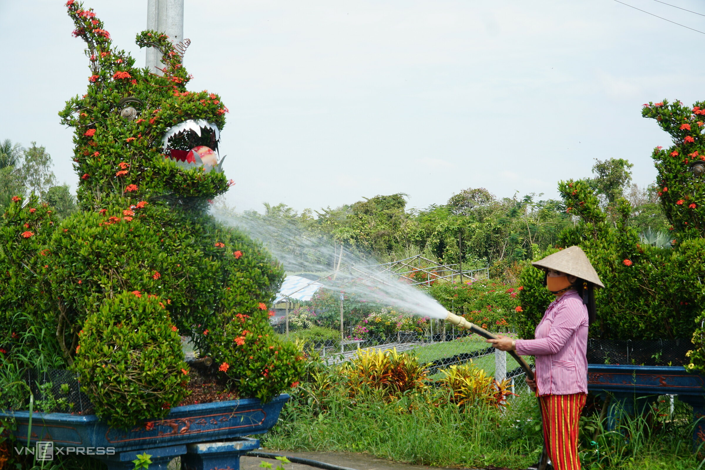 TSTtourist-nhung-ngay-can-tet-o-lang-hoa-sa-dec-10