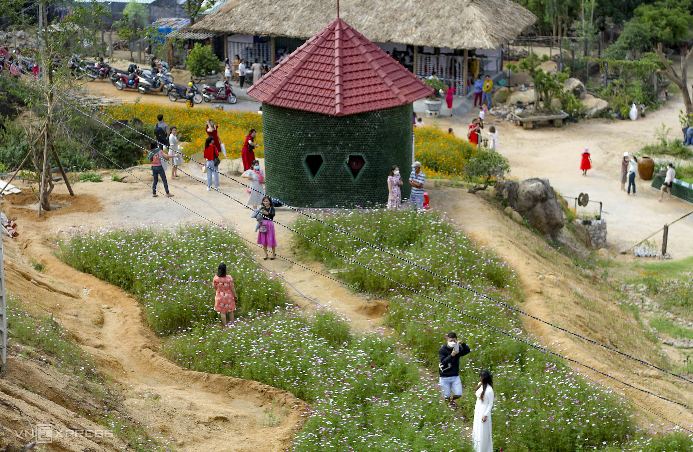 TSTtourist-vuon-hoa-o-binh-dinh-hut-khach-dau-nam-10