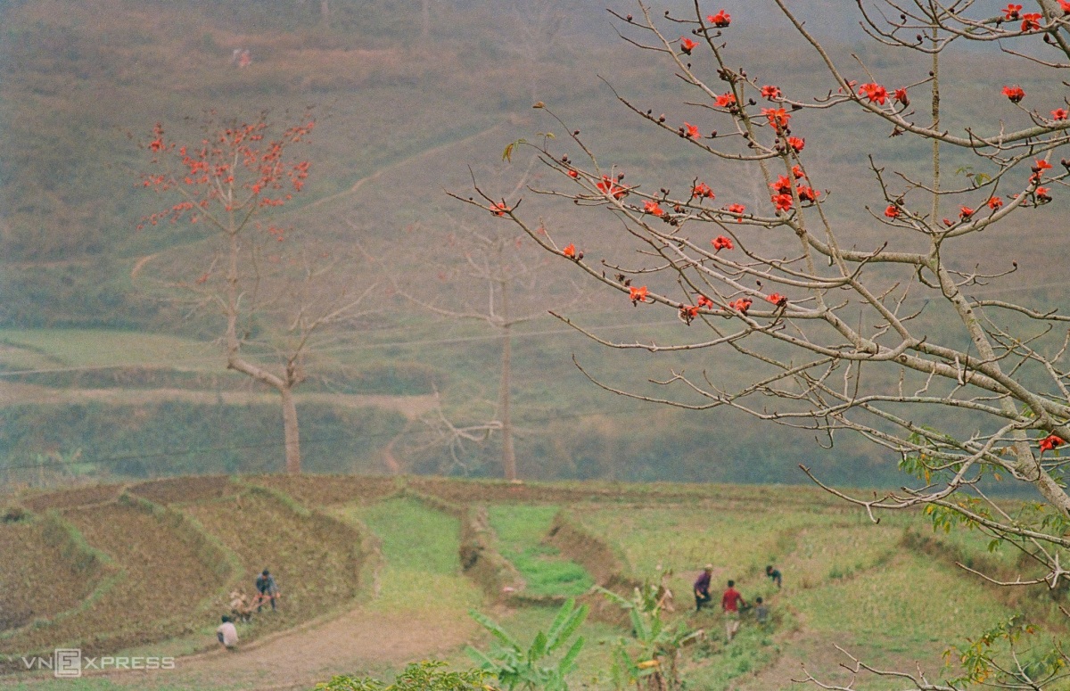 TSTtourist-ha-giang-trong-mat-chang-trai-nguoi-tay-9