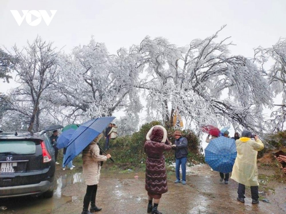 TSTtourist-bang-gia-tren-dinh-phja-oac-cao-bang-thu-hut-hang-nghin-luot-nguoi-toi-chiem-nguong-4