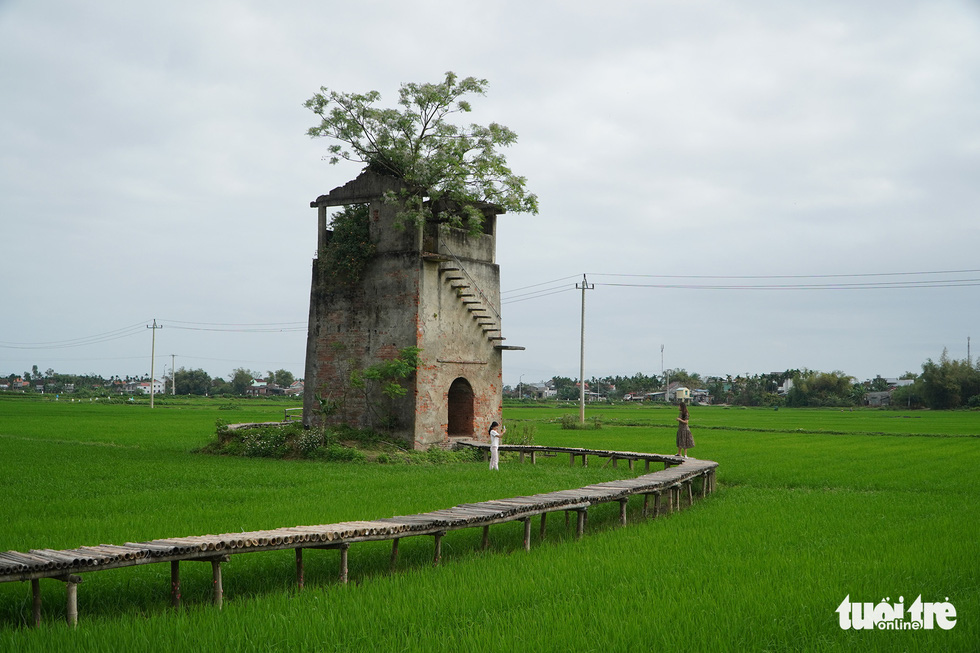 Bên 'Lò gạch cũ' trồng gạo sạch, mở farmstay hút du khách