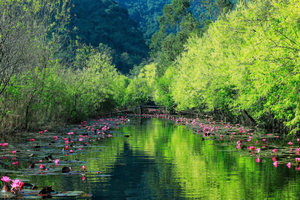 TSTtourist-chua-huong-tinh-lang-qua-nhung-goc-nhin-rieng-6