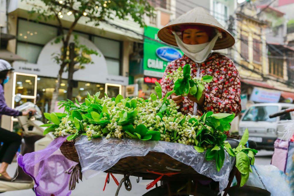 TSTtourist-co-mot-ha-noi-ngat-huong-hoa-buoi-1