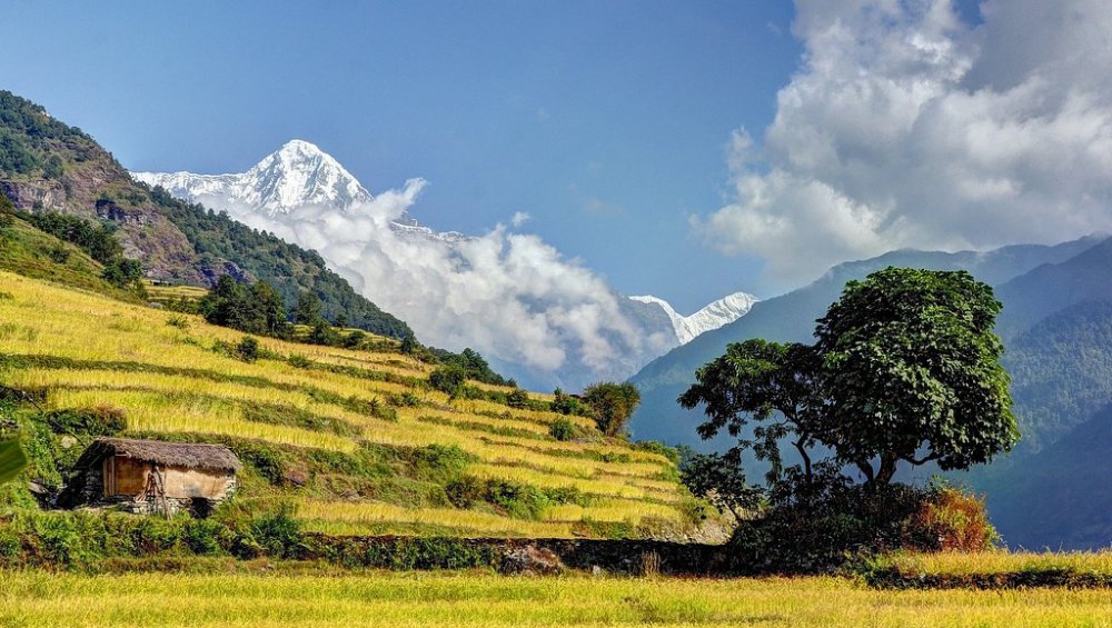 TSTtourist-diem-danh-ruong-bac-thang-o-chau-a-hut-hon-khach-du-lich-9