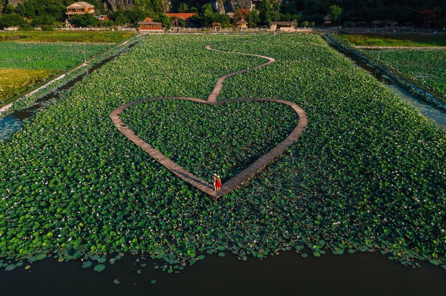 TSTtourist-diem-du-lich-gan-ha-noi-hang-mua-ninh-binh-van-la-noi-duoc-yeu-thich-vao-dip-dau-xuan-5