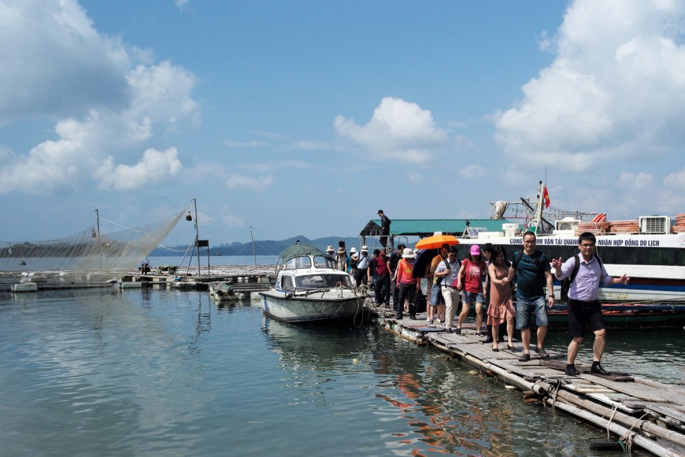 TSTtourist-hoang-so-dao-banh-sua-2