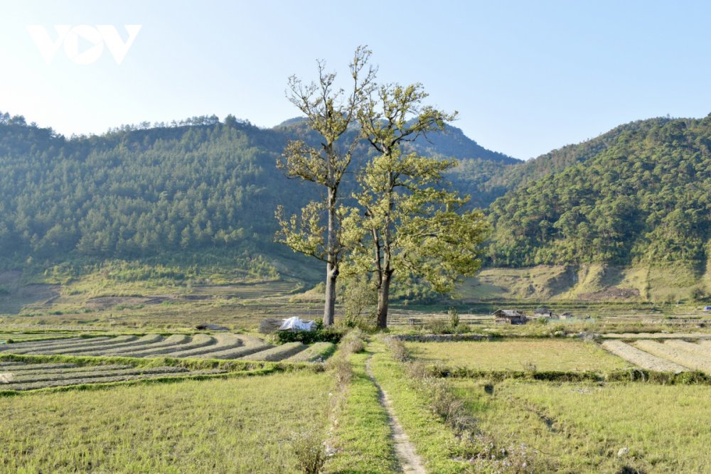 TSTtourist-ngoc-chien-noi-luu-giu-san-pham-du-lich-doc-dao-vung-tay-bac-14