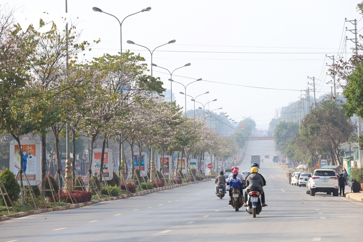 TSTtourist-sac-trang-tinh-khoi-hoa-ban-giua-pho-nui-son-la-1