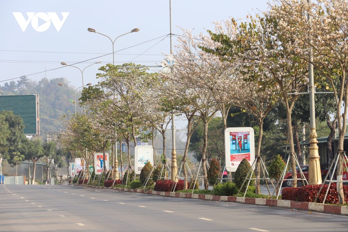 TSTtourist-sac-trang-tinh-khoi-hoa-ban-giua-pho-nui-son-la-2