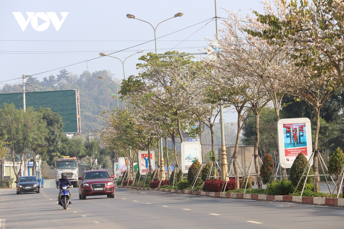 TSTtourist-sac-trang-tinh-khoi-hoa-ban-giua-pho-nui-son-la-7