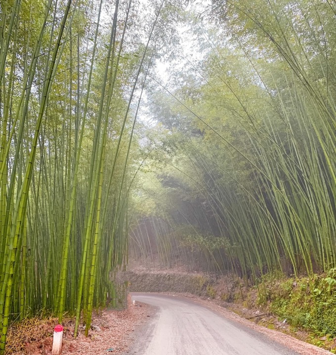 TSTtourist-hai-ngay-kham-pha-cao-bang-mua-hoa-le-3