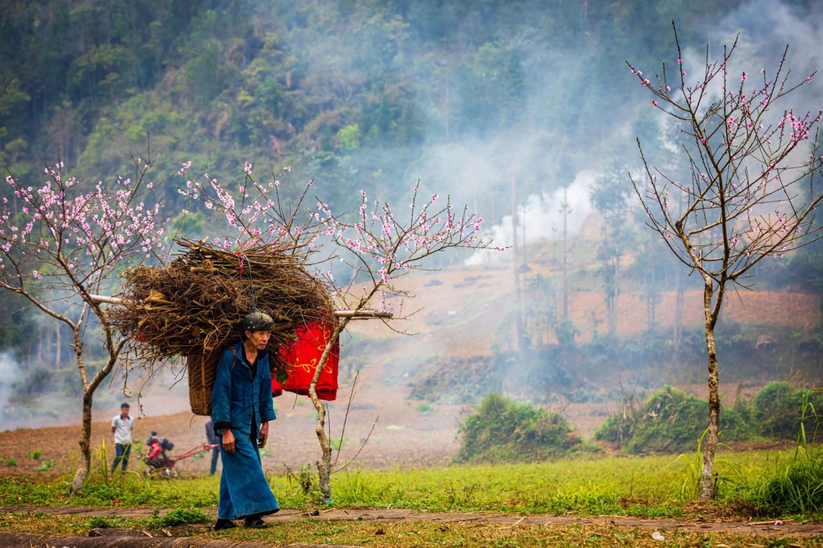 Sức sống trên Cao nguyên đá Đồng Văn