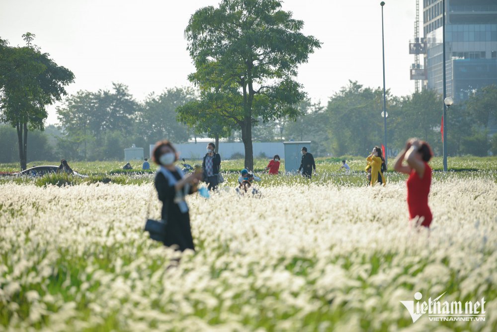 TSTtourist-bai-co-lau-trang-muot-no-ro-diem-mong-mo-de-du-khach-ha-noi-tam-quen-noi-lo-covid-19-10