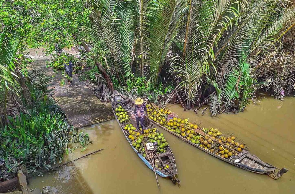 TSTtourist-ben-tre-dep-thanh-binh-qua-goc-anh-cua-chang-trai-xu-dua-5