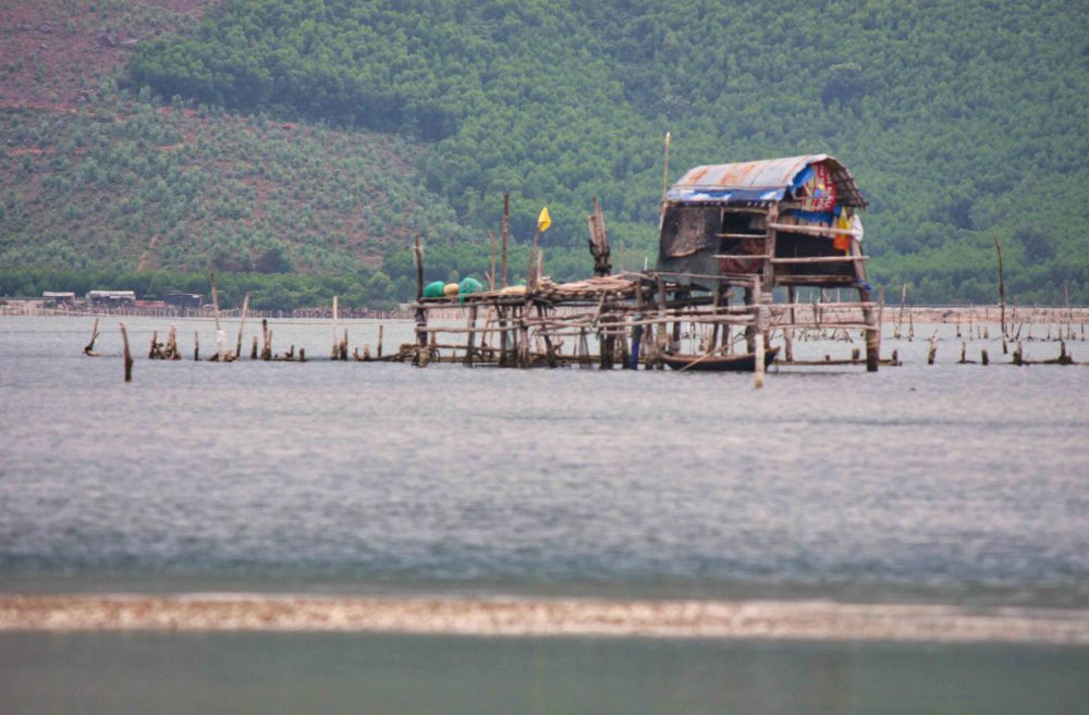 TSTtourist-chieu-thanh-binh-tren-dam-lap-an-6