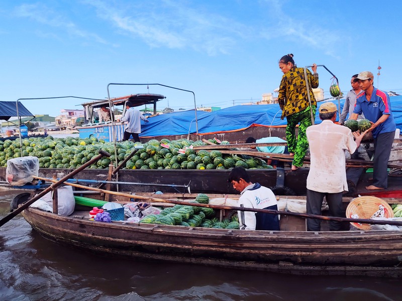 TSTtourist-dac-sac-cay-beo-o-cho-noi-mien-tay-2