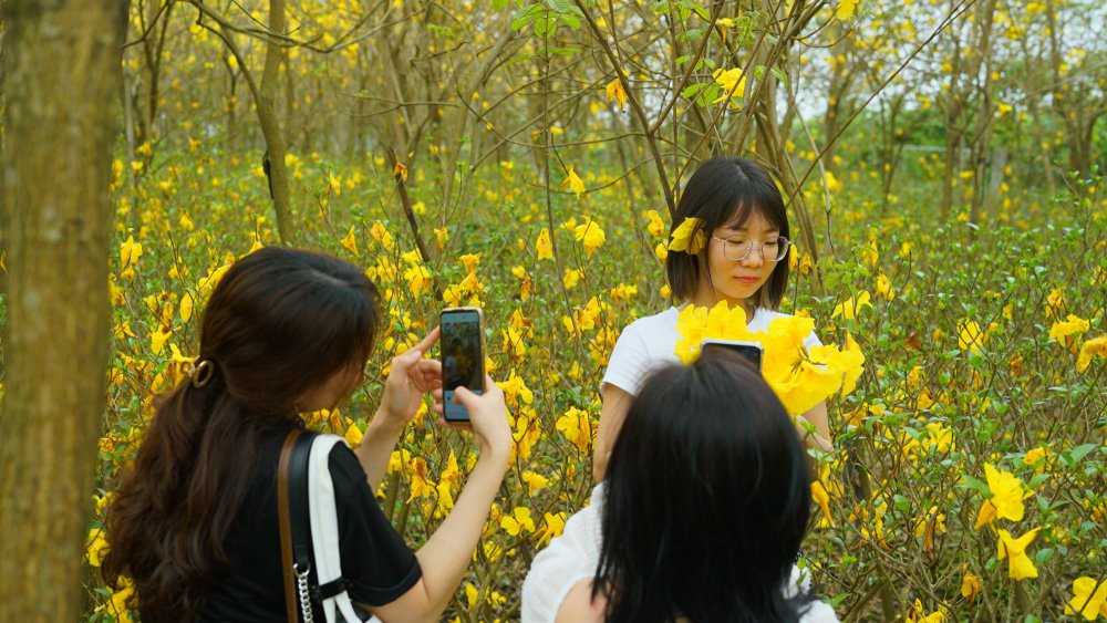 TSTtourist-khach-lan-loi-30km-san-tim-vuon-hoa-phong-linh-tai-gia-lam-6