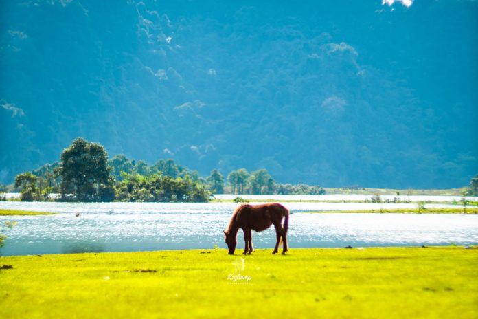 tsttourist-lac-vao-mien-thao-nguyen-xanh-o-dong-lam-5