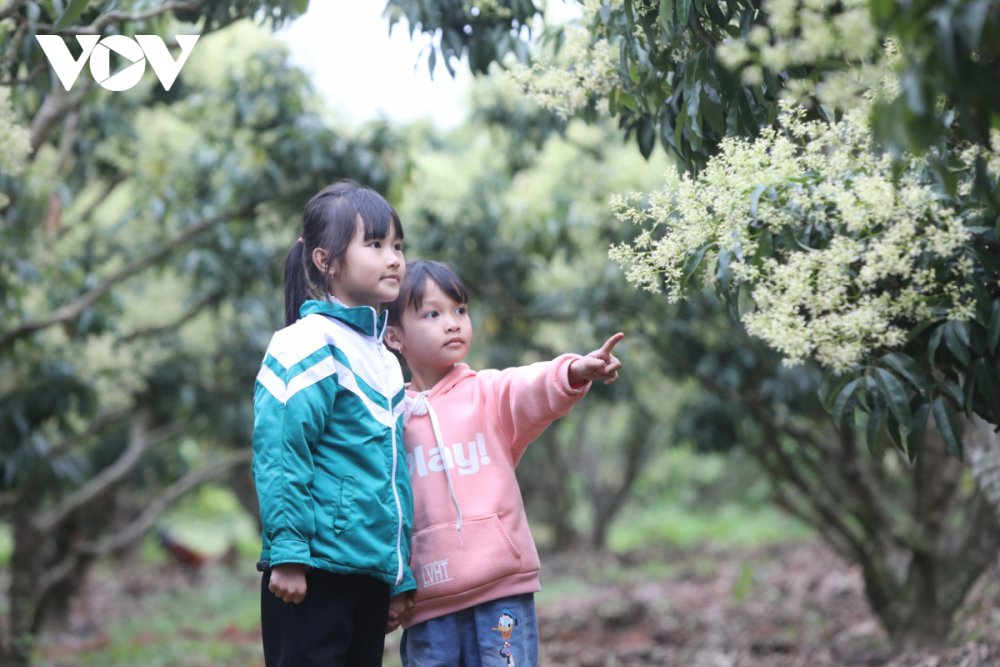 TSTtourist-lac-vao-vuon-hoa-vai-dep-me-hon-o-luc-ngan-bac-giang-5