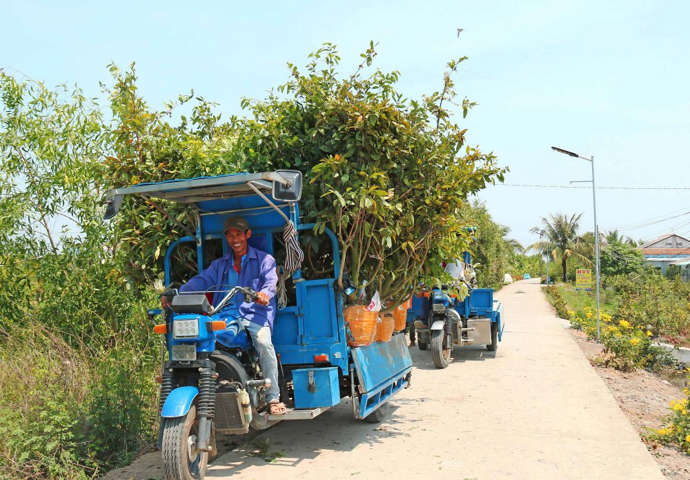 TSTtourist-lang-ty-phu-giua-dong-thap-muoi-4