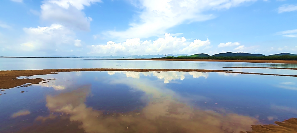 TSTtourist-mui-long-vang-tien-yen-va-nhung-dieu-ky-thu-it-ai-biet-toi-3