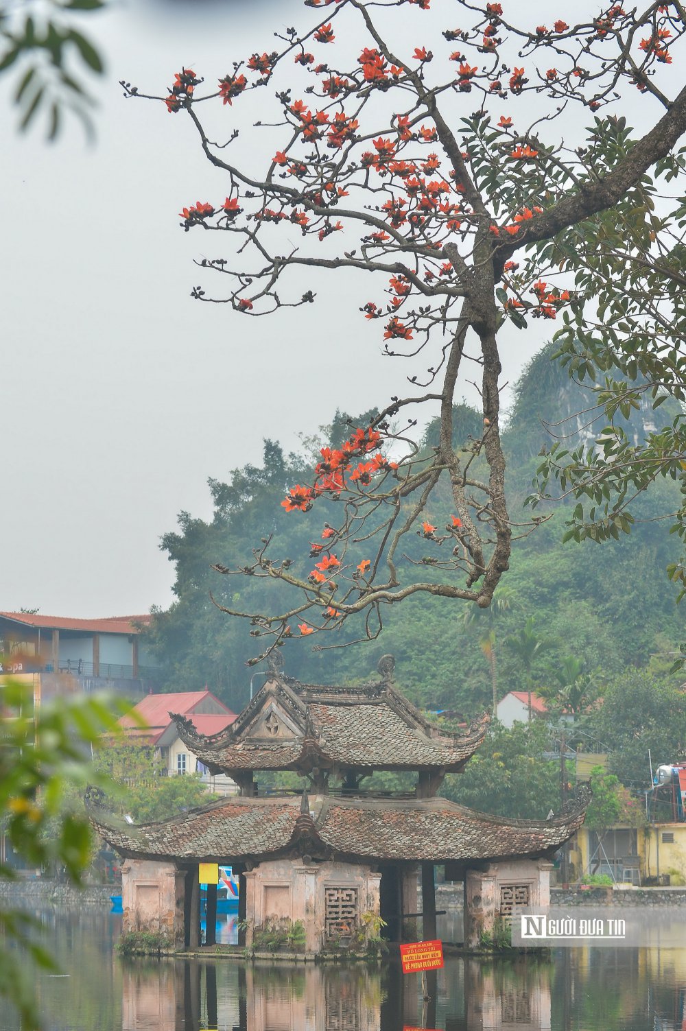 TSTtourist-ngam-ha-noi-ruc-ro-mua-hoa-thang-3-12