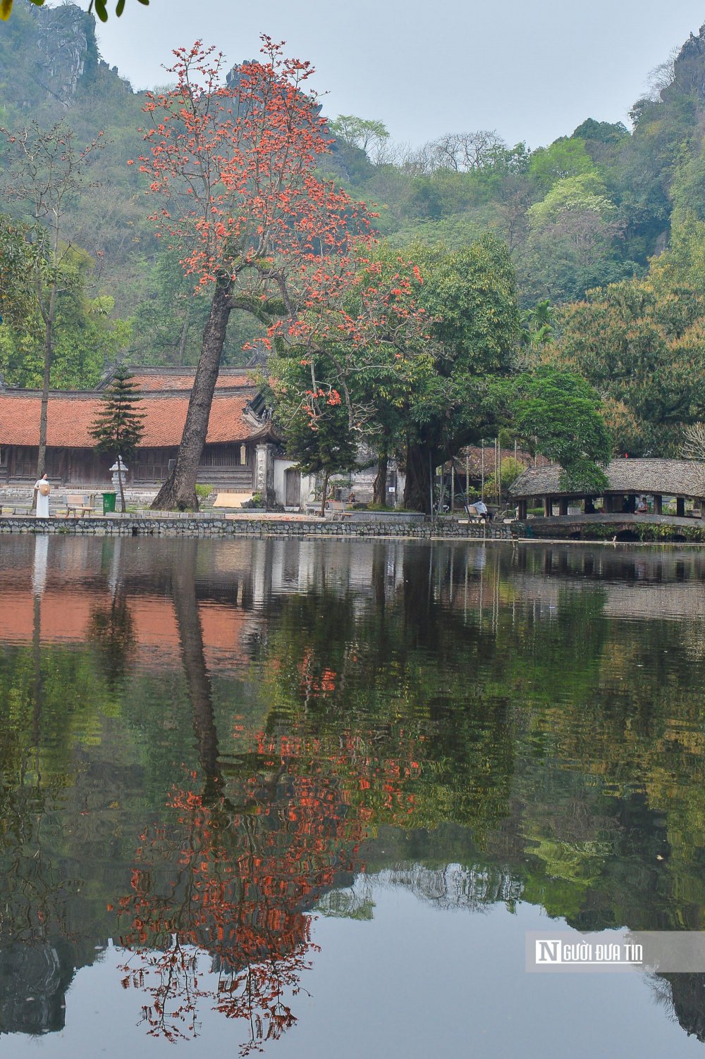 TSTtourist-ngam-ha-noi-ruc-ro-mua-hoa-thang-3-13