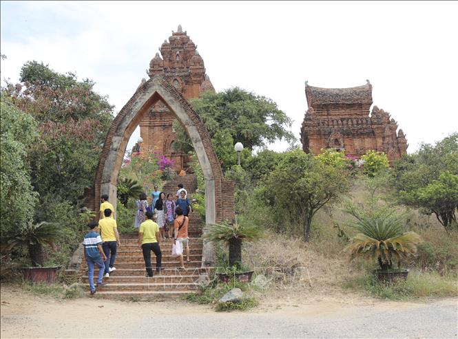 Ninh Thuận phát huy tiềm năng vùng đất 'ít mưa, thừa nắng'