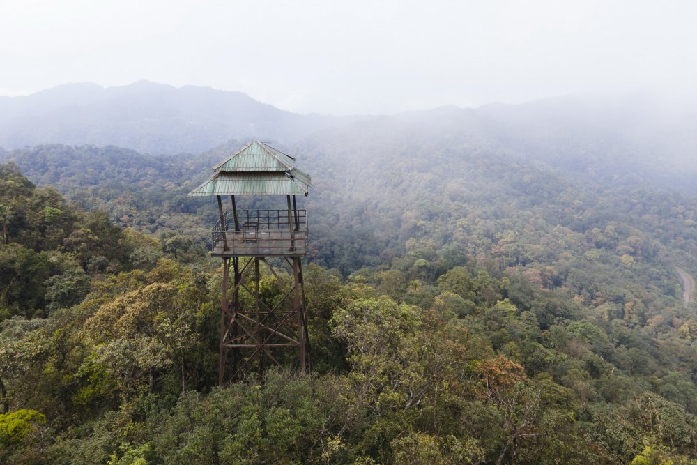 TSTtourist-noi-cao-nhat-trong-vuon-quoc-gia-phong-nha-ke-bang-10