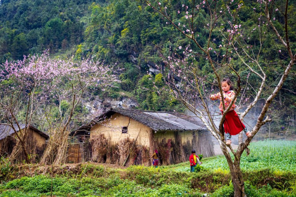 TSTtourist-suc-song-tren-cao-nguyen-da-dong-van-1