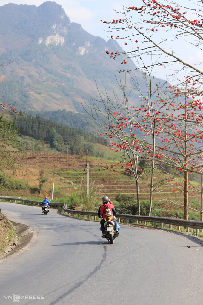 mua-hoa-gao-o-Ha-Giang-2