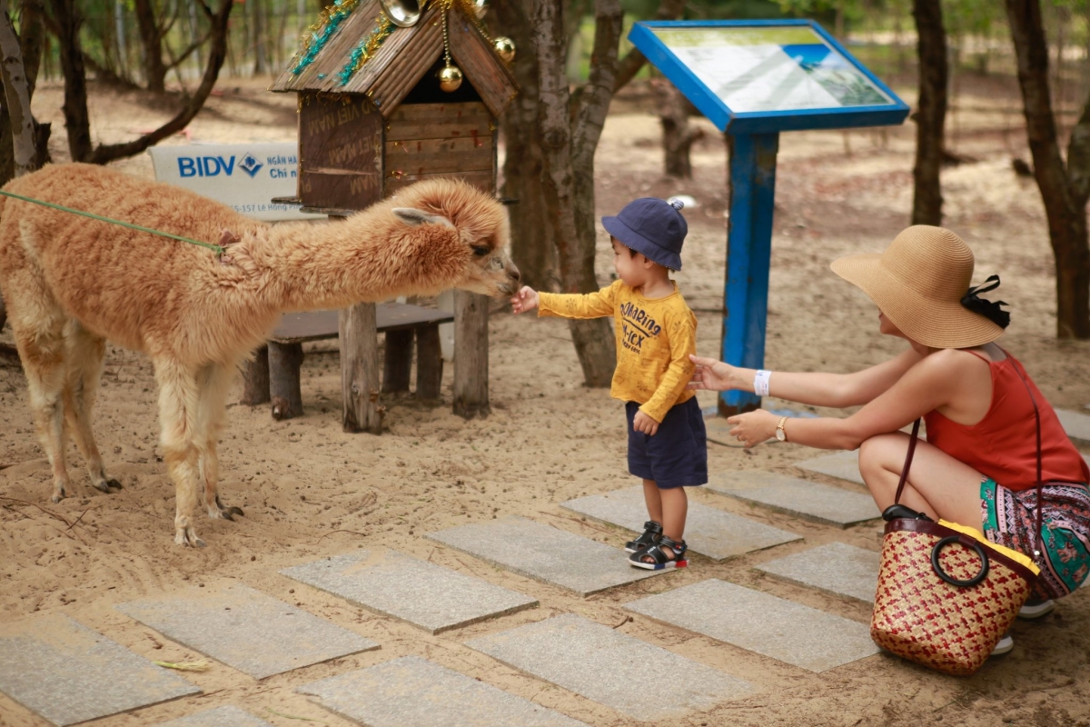 Đến Bình Định săn loạt ảnh check-in độc lạ tại FLC Zoo Safari Park Quy Nhon