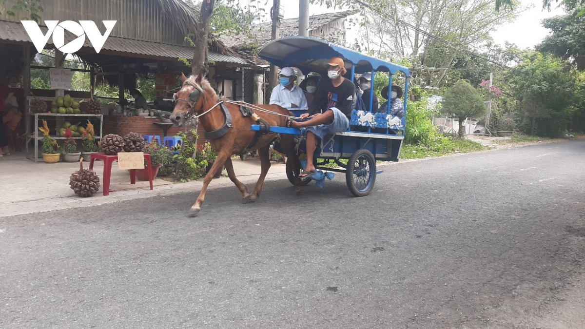 TSTtourist-du-lich-tien-giang-khoi-sac-trong-dieu-kien-binh-thuong-moi-2