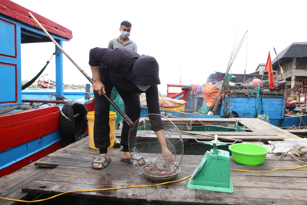 TSTtourist-muc-nhay-noi-tieng-ha-tinh-hut-khach-cuoi-tuan-khong-du-hang-de-ban-11