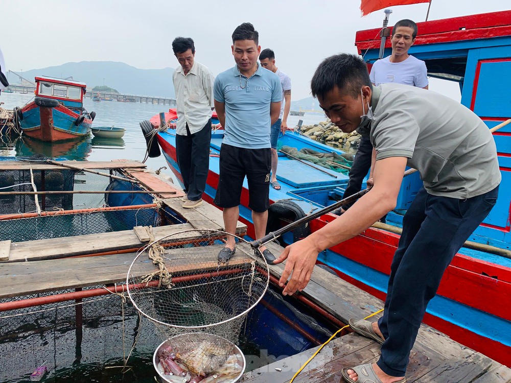 TSTtourist-muc-nhay-noi-tieng-ha-tinh-hut-khach-cuoi-tuan-khong-du-hang-de-ban-3