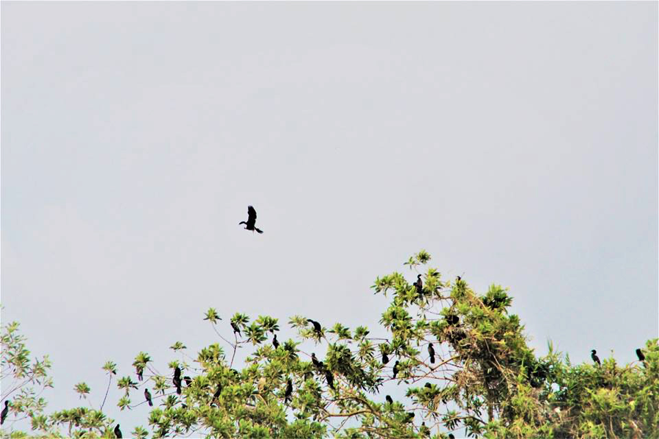 TSTtourist-cam-nang-du-lich-ben-tre-5