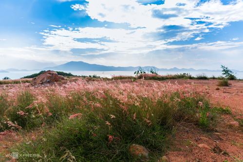 TSTtourist-cam-nang-du-lich-binh-ba-5