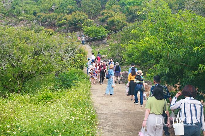 TSTtourist-dam-minh-trong-thung-lung-rung-mo-dep-nhu-mien-co-tich-o-moc-chau-6