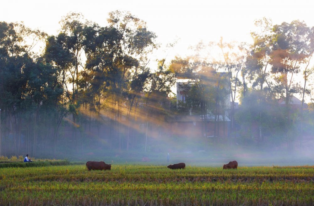 Làng cổ thuần Việt ở Bắc Giang