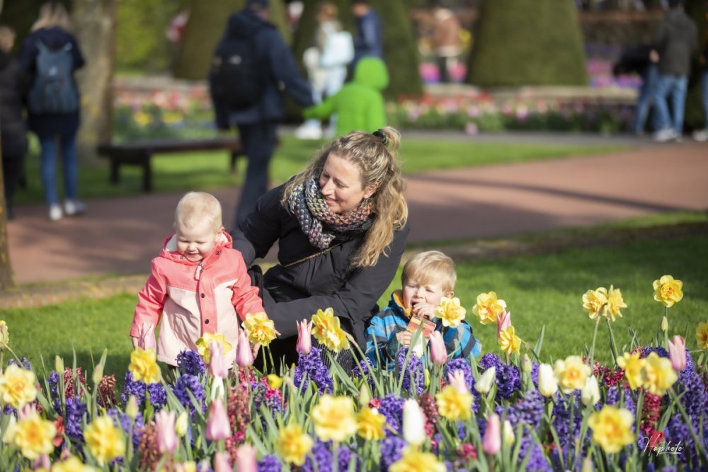 TSTtourist-mua-hoa-o-keukenhof-duoi-ong-kinh-khach-viet-8