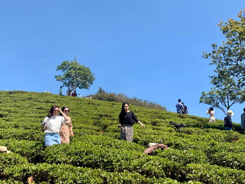 TSTtourist-ve-cau-dat-thuong-tra-ngam-doi-che-tram-tuoi-1