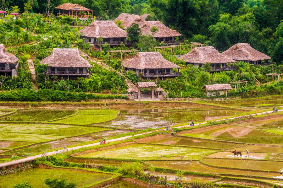 Mai-Chau-banlac