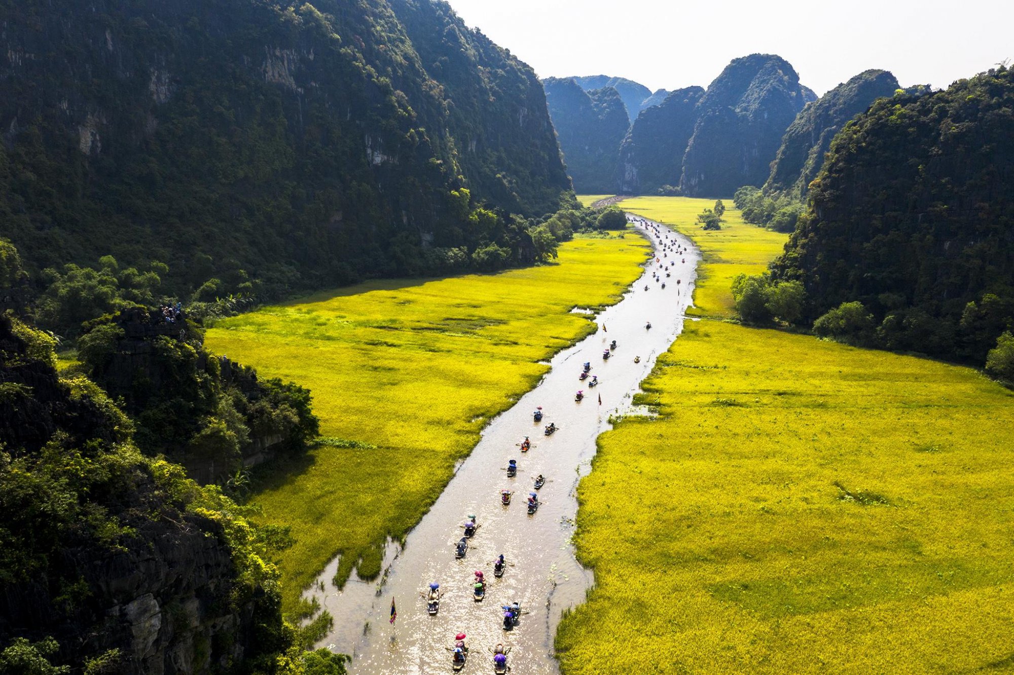 Hai ngày thăm Tam Cốc - Bích Động mùa lúa chín