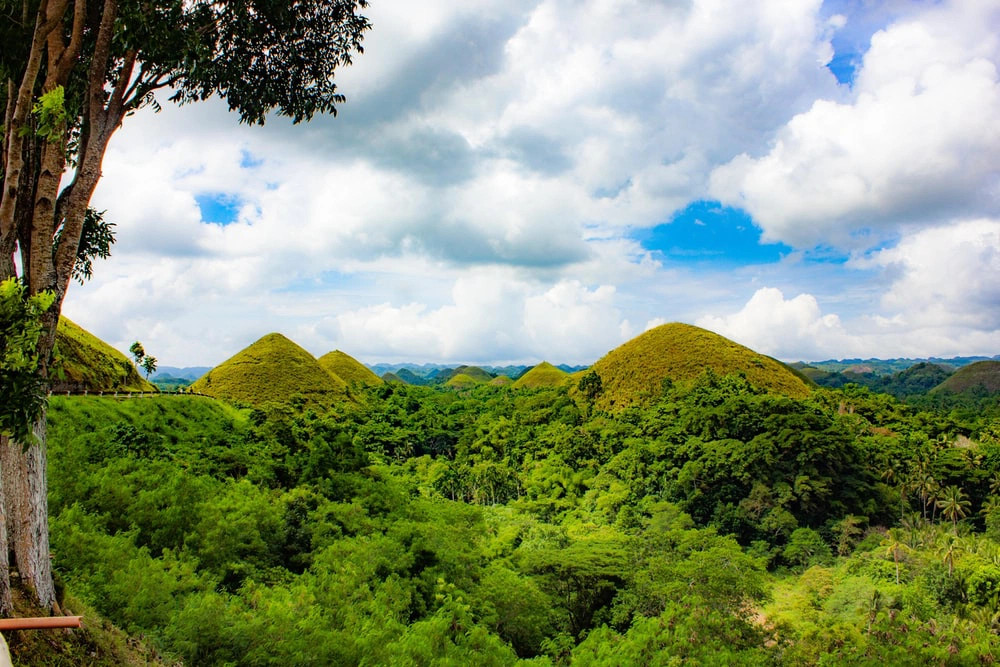 TSTtourist-khu-doi-chocolate-nhu-trong-phim-vien-tuong-o-philippines-5