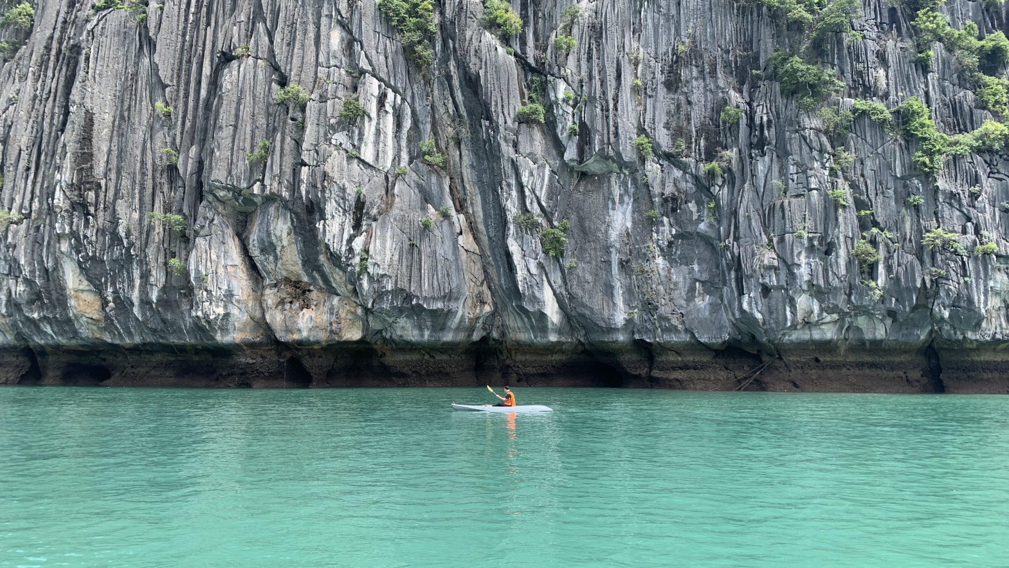 Rong chơi ở Cát Bà