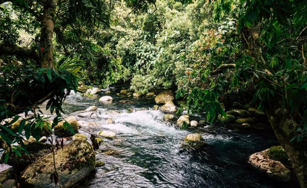 TSTtourist-8-trai-nghiem-du-lich-du-khach-khong-the-bo-qua-o-phong-nha-6