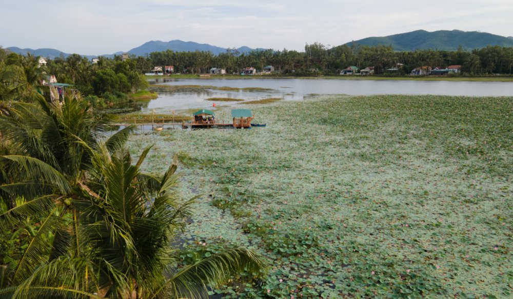 TSTtourist-bau-sen-binh-dinh-2