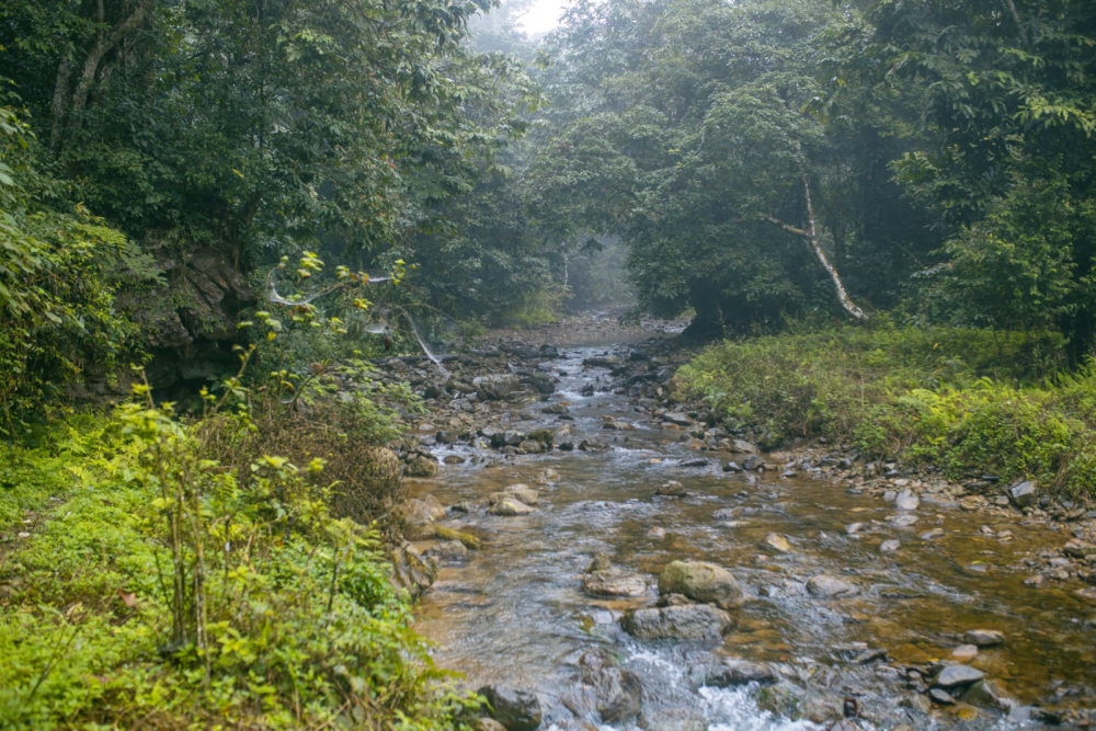 TSTtourist-cam-nang-du-lich-phu-tho-10