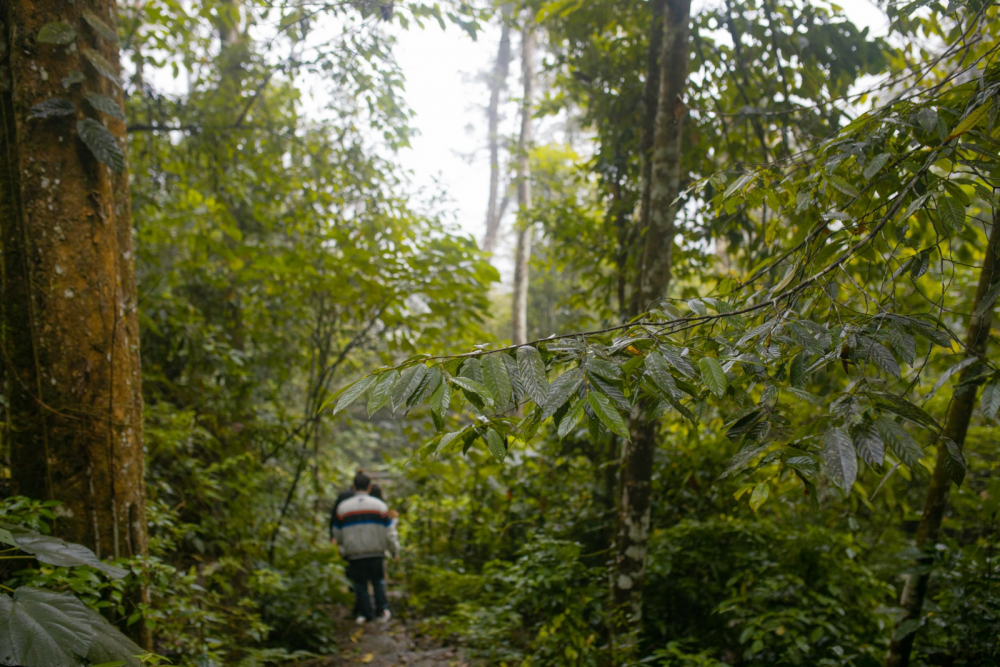 TSTtourist-cam-nang-du-lich-phu-tho-11